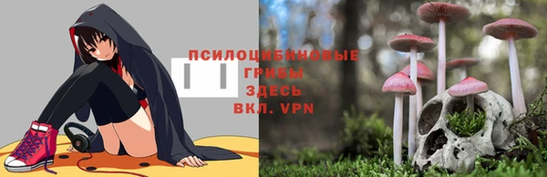 ALPHA PVP Алексин