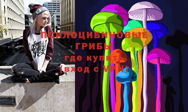 ALPHA PVP Алексин