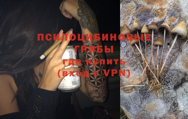 ALPHA PVP Алексин