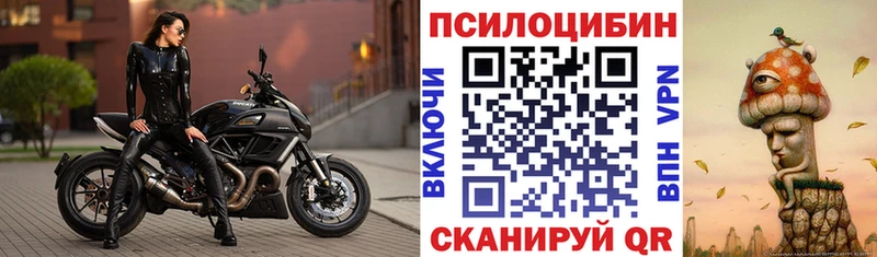 Галлюциногенные грибы GOLDEN TEACHER  продажа наркотиков  Лобня 